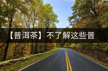 【普洱茶】不了解這些普洱茶概念，你還敢說你很懂易武茶