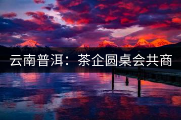 云南普洱:茶企圓桌會共商“現(xiàn)在·未來