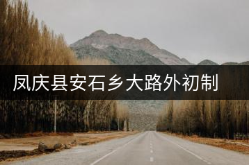 鳳慶縣安石鄉大路外初制所