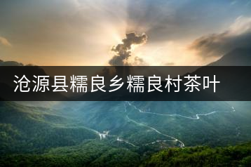 滄源縣糯良鄉糯良村茶葉初制所