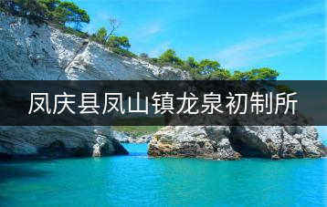 鳳慶縣鳳山鎮龍泉初制所