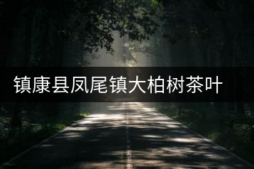 鎮康縣鳳尾鎮大柏樹茶葉初制所