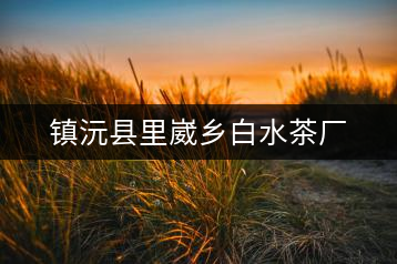 鎮沅縣里崴鄉白水茶廠