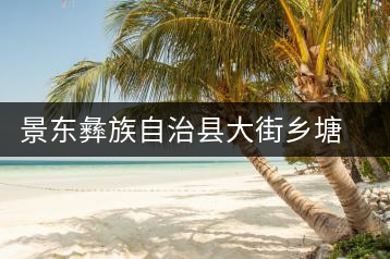 景東彝族自治縣大街鄉塘坊村茶廠