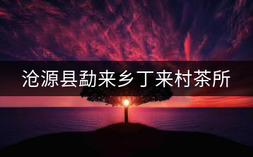 滄源縣勐來鄉丁來村茶所