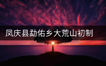 鳳慶縣勐佑鄉大荒山初制所
