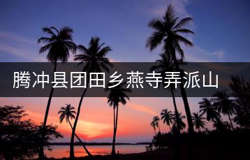 騰沖縣團田鄉燕寺弄派山茶廠