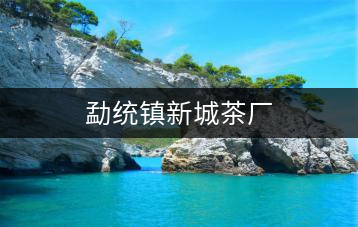 勐統鎮新城茶廠