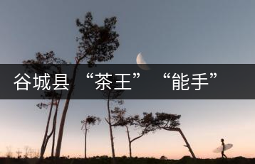 谷城縣 “茶王”“能手” 季廣成創新品牌打響品牌