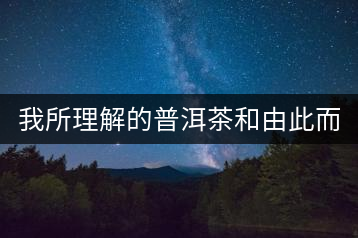 我所理解的普洱茶和由此而去的人生(2)