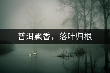 普洱飄香，落葉歸根