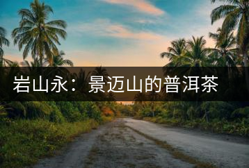 巖山永：景邁山的普洱茶人