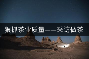 狠抓茶業質量——采訪做茶人
