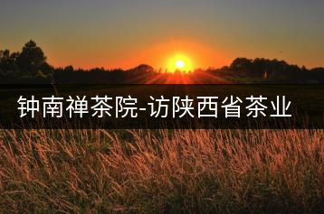鐘南禪茶院-訪陜西省茶業協會副秘書長楊元
