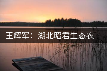 王輝軍:湖北昭君生態農業有限公司董事長