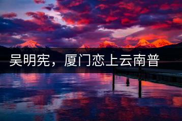 吳明憲,廈門戀上云南普洱茶