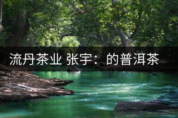 流丹茶業 張宇：的普洱茶網銷之路