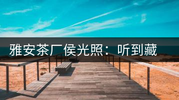 雅安茶廠(chǎng)侯光照：聽(tīng)到藏茶時(shí)代的腳步聲