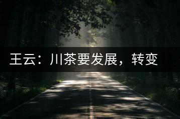 王云:川茶要發展,轉變思想是關鍵