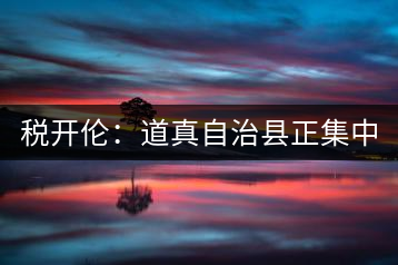 稅開倫:道真自治縣正集中力量打造“中國硒鍶茶鄉”