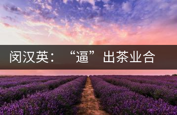 閔漢英:“逼”出茶業(yè)合作社,帶領(lǐng)村民走上致富路