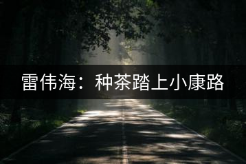 雷偉海:種茶踏上小康路