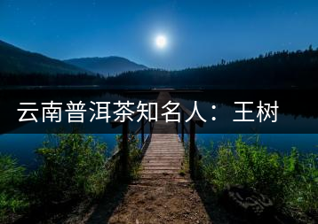云南普洱茶知名人：王樹文
