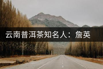 云南普洱茶知名人:詹英佩