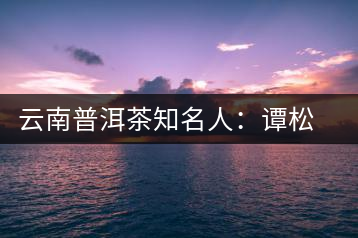 云南普洱茶知名人：譚松發