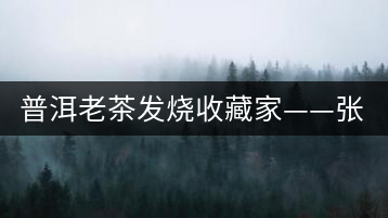普洱老茶發燒收藏家——張奇明