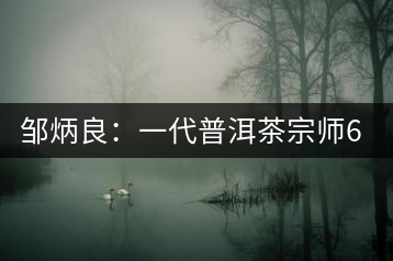 鄒炳良:一代普洱茶宗師60年制茶的傳奇故事