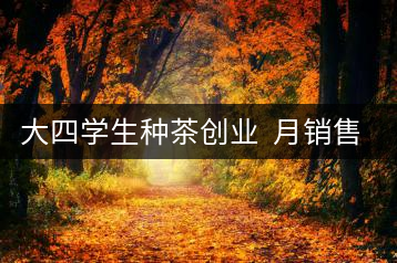 大四學(xué)生種茶創(chuàng)業(yè) 月銷(xiāo)售額超五十萬(wàn)