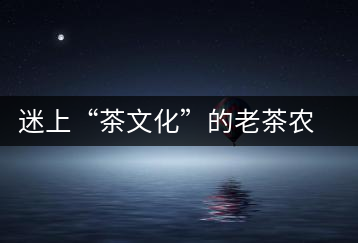 迷上“茶文化”的老茶農傅如清