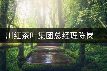 川紅茶葉集團總經理陳崗的三分天下