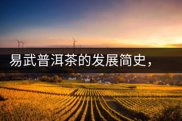 易武普洱茶的發展簡史,昔日的貢茶如今依然輝煌