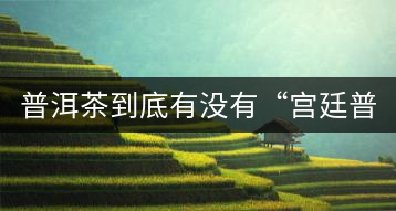 普洱茶到底有沒有“宮廷普洱”一說?它到底是什么?