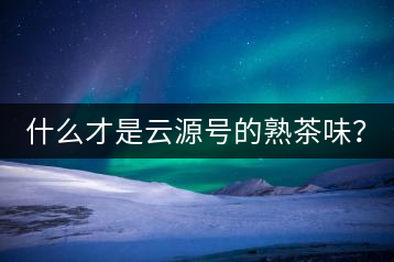 什么才是云源號的熟茶味？