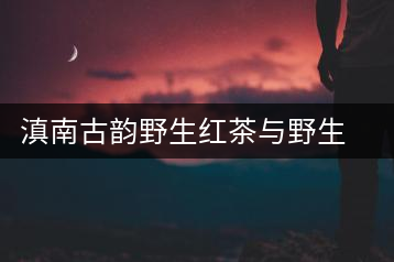 滇南古韻野生紅茶與野生古樹(shù)紅茶開(kāi)湯對(duì)比