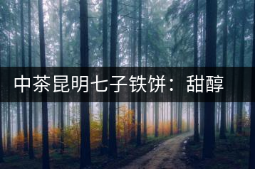 中茶昆明七子鐵餅:甜醇甘潤,陳韻綿長