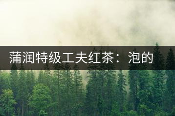 蒲潤特級工夫紅茶：泡的方便，喝的舒適