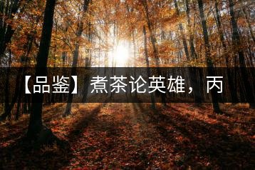 【品鑒】煮茶論英雄,丙申年易武麻黑