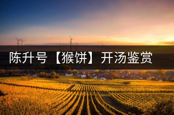 陳升號【猴餅】開湯鑒賞篇：沖泡【猴餅】有哪些需要注意的