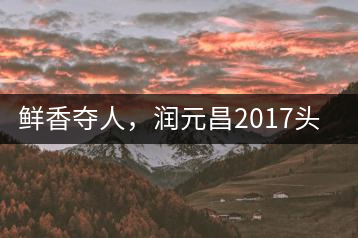 鮮香奪人,潤元昌2017頭采小青柑即將上市