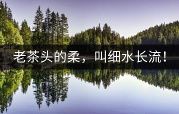老茶頭的柔，叫細水長流！