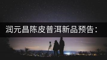 潤元昌陳皮普洱新品預告:【金絲單泡裝】&【醇真】