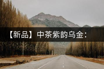 【新品】中茶紫韻烏金:傳統工藝與現代科技的融合