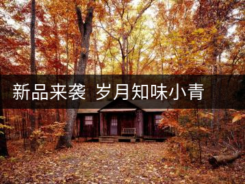 新品來襲 歲月知味小青柑(貳號)喜迎國慶