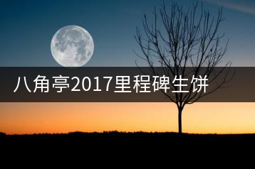 八角亭2017里程碑生餅，擁抱半個世紀的情懷