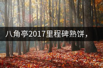 八角亭2017里程碑熟餅,自先發(fā)酵而后愛人