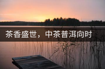 茶香盛世,中茶普洱向時代獻禮